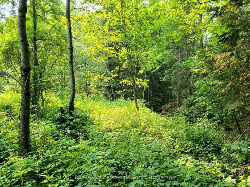 26 - 35 MOUNT VERNON Trail
