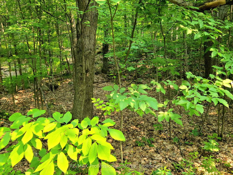 19 - 26 MOUNT VERNON Trail