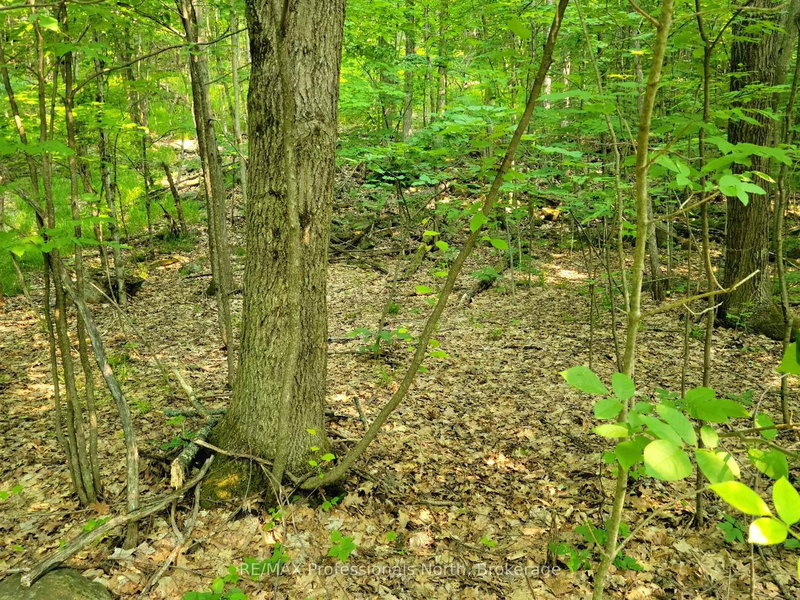 19 - 26 MOUNT VERNON Trail