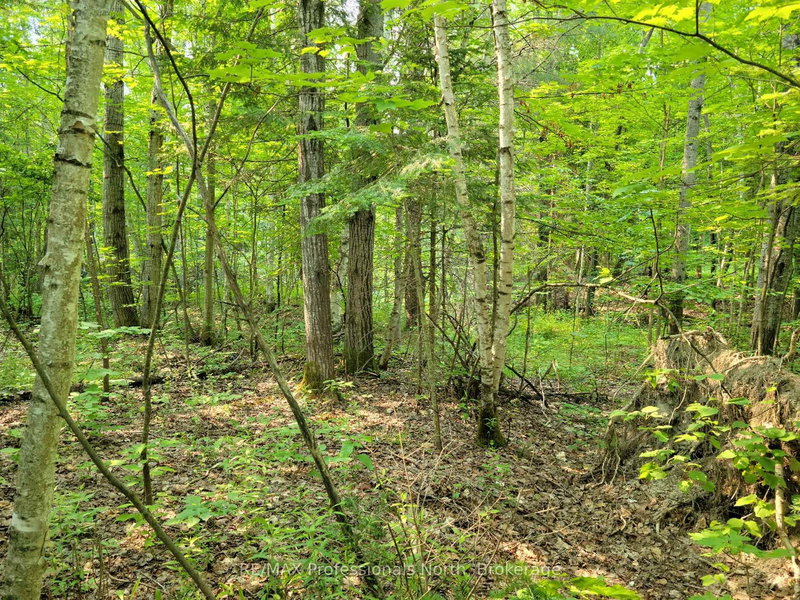 29 - 29 MOUNT VERNON Trail