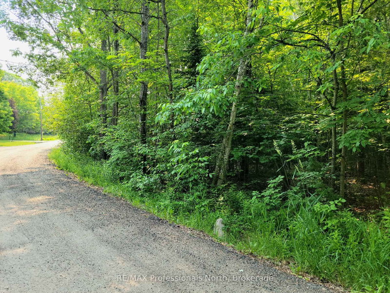 29 - 29 MOUNT VERNON Trail