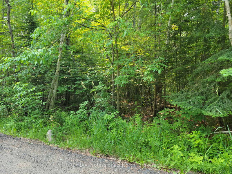 29 - 29 MOUNT VERNON Trail