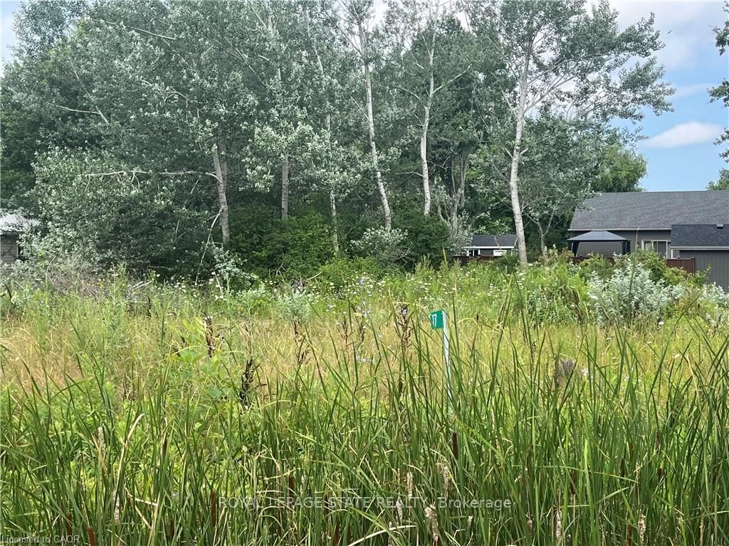 17 Dickhout Road • Haldimand, ON photo 4