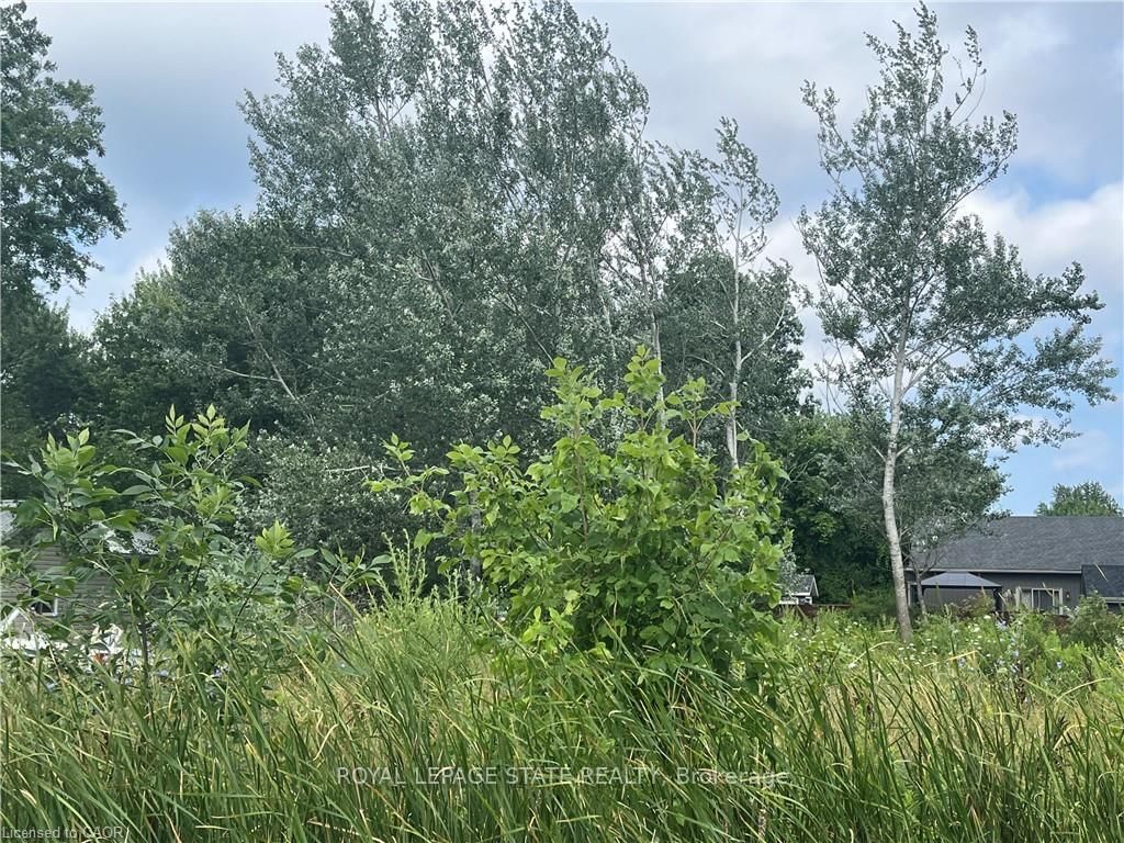 17 Dickhout Road • Haldimand, ON photo 5