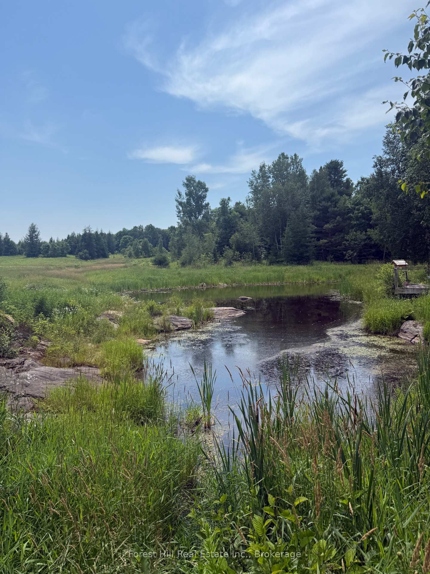 12547 Hwy 522 Highway • Parry Sound Remote Area, ON photo 6