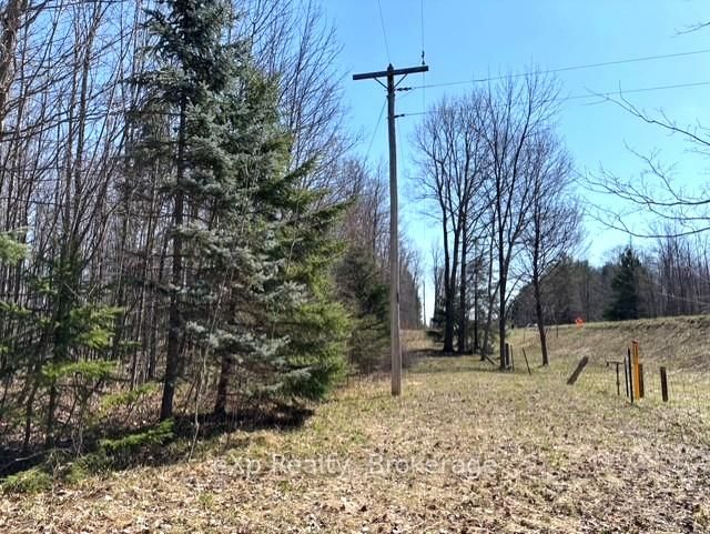 PT LT 21 Grey Road 12 Rd, West Grey, N0G 1R0 | Image 2