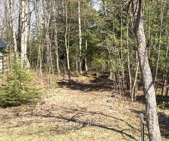 PT LT 21 Grey Road 12 Rd, West Grey, N0G 1R0 | Image 3