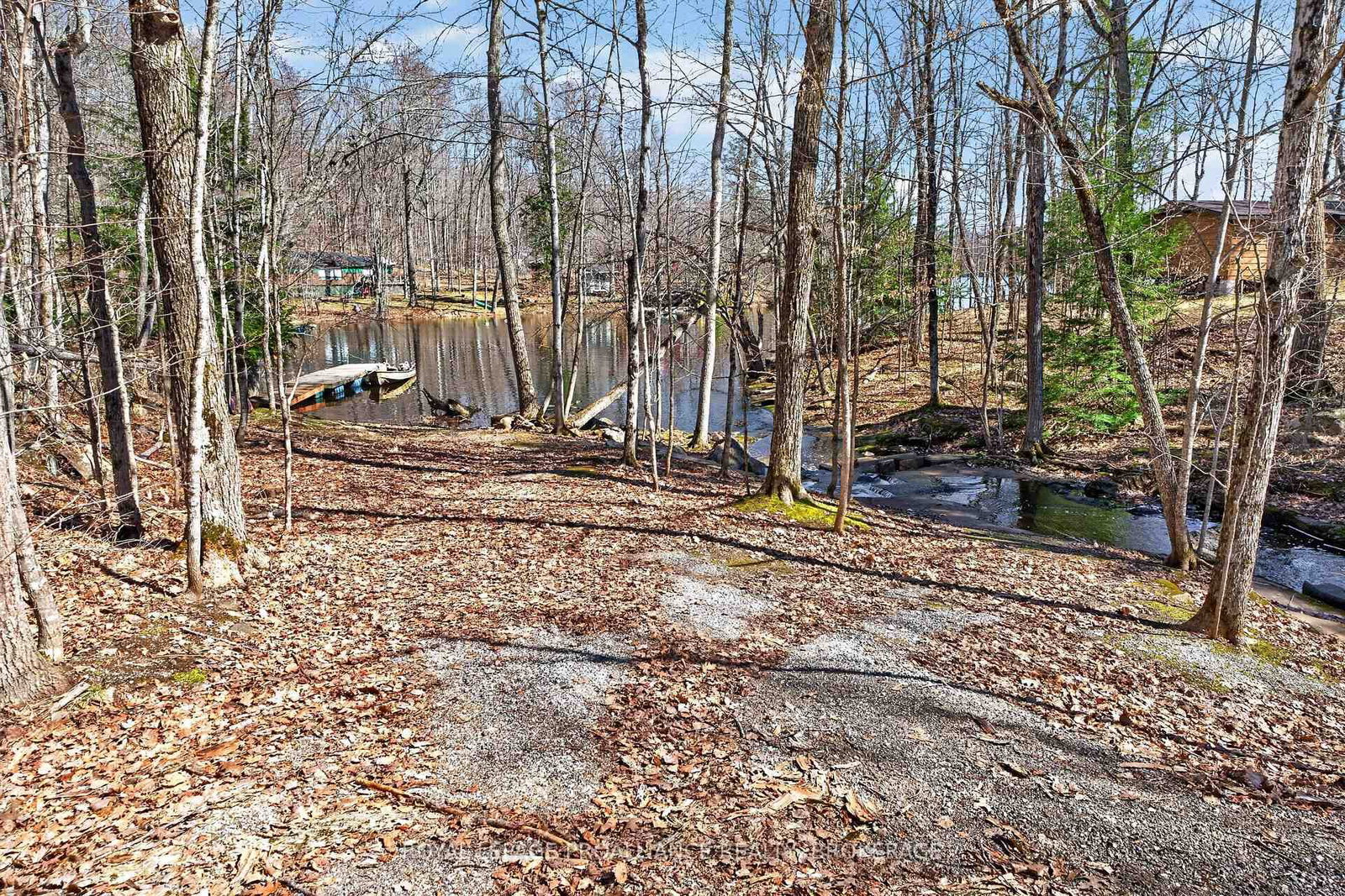 Listing Image 45