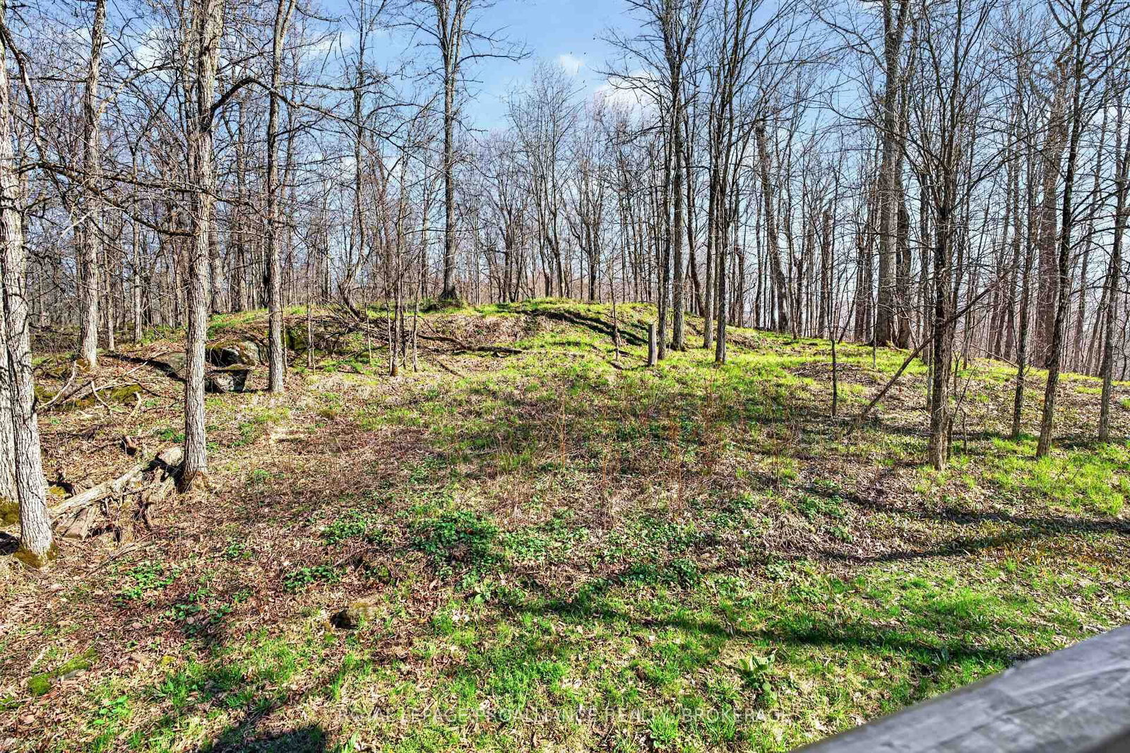 Listing Image 8