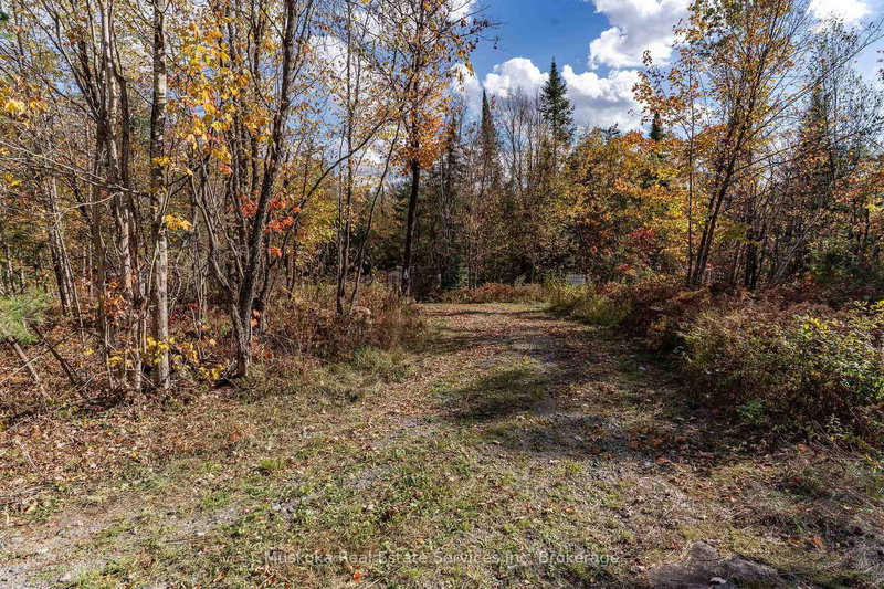 1088 Merkley Rd, Gravenhurst, P1P 1R3 | Image 3