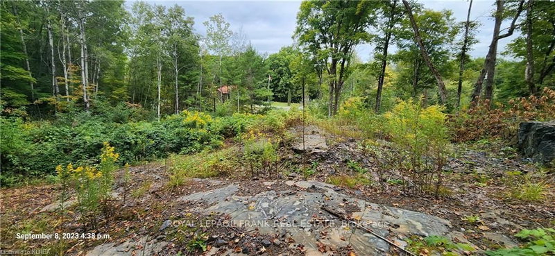 169 Northern Ave, Trent Lakes, K0M 1A0 | Image 2