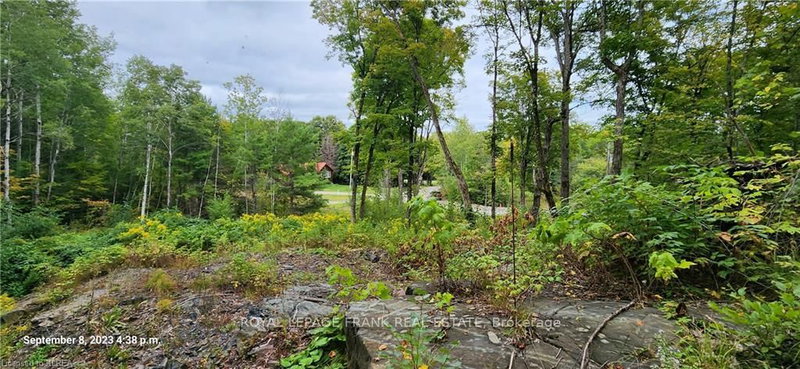 169 Northern Ave, Trent Lakes, K0M 1A0 | Image 3