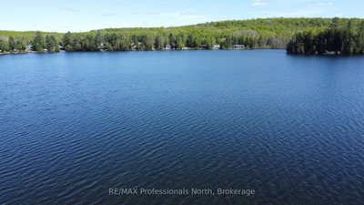 15180 Highway 118 Highway • Dysart et al, ON photo 9