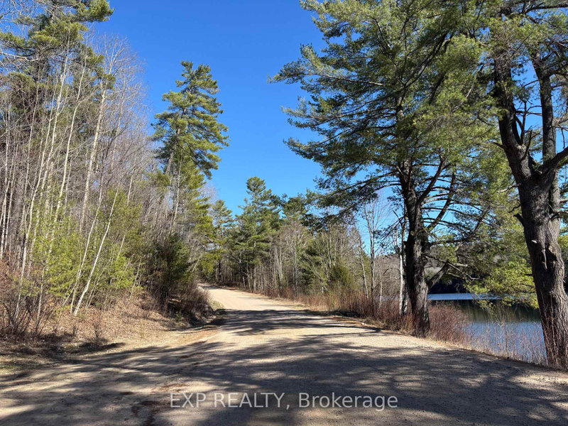 000 Opeongo Road