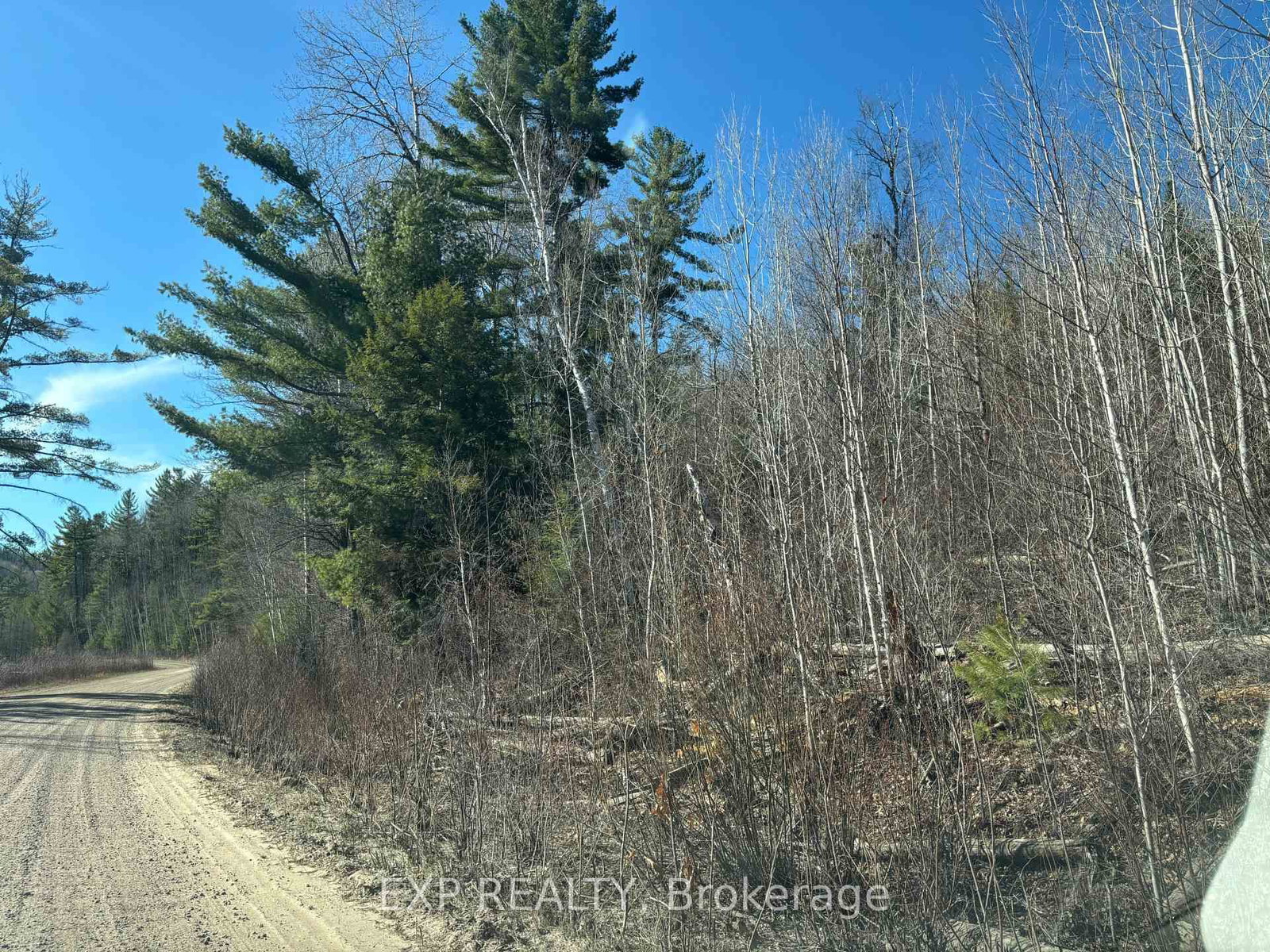 000 Opeongo Road • Wilno, ON photo 6