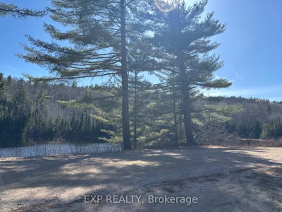 000 Opeongo Road • Wilno, ON photo 9
