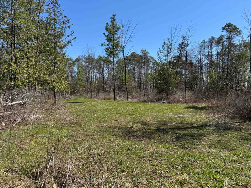 6192 County Rd 50