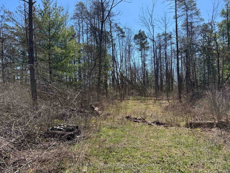 6192 County Rd 50