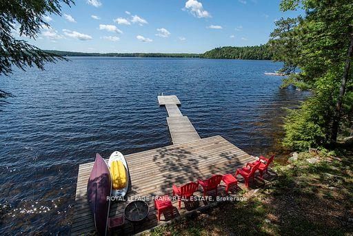 119 Fire Route 242 • Trent Lakes, ON photo 5