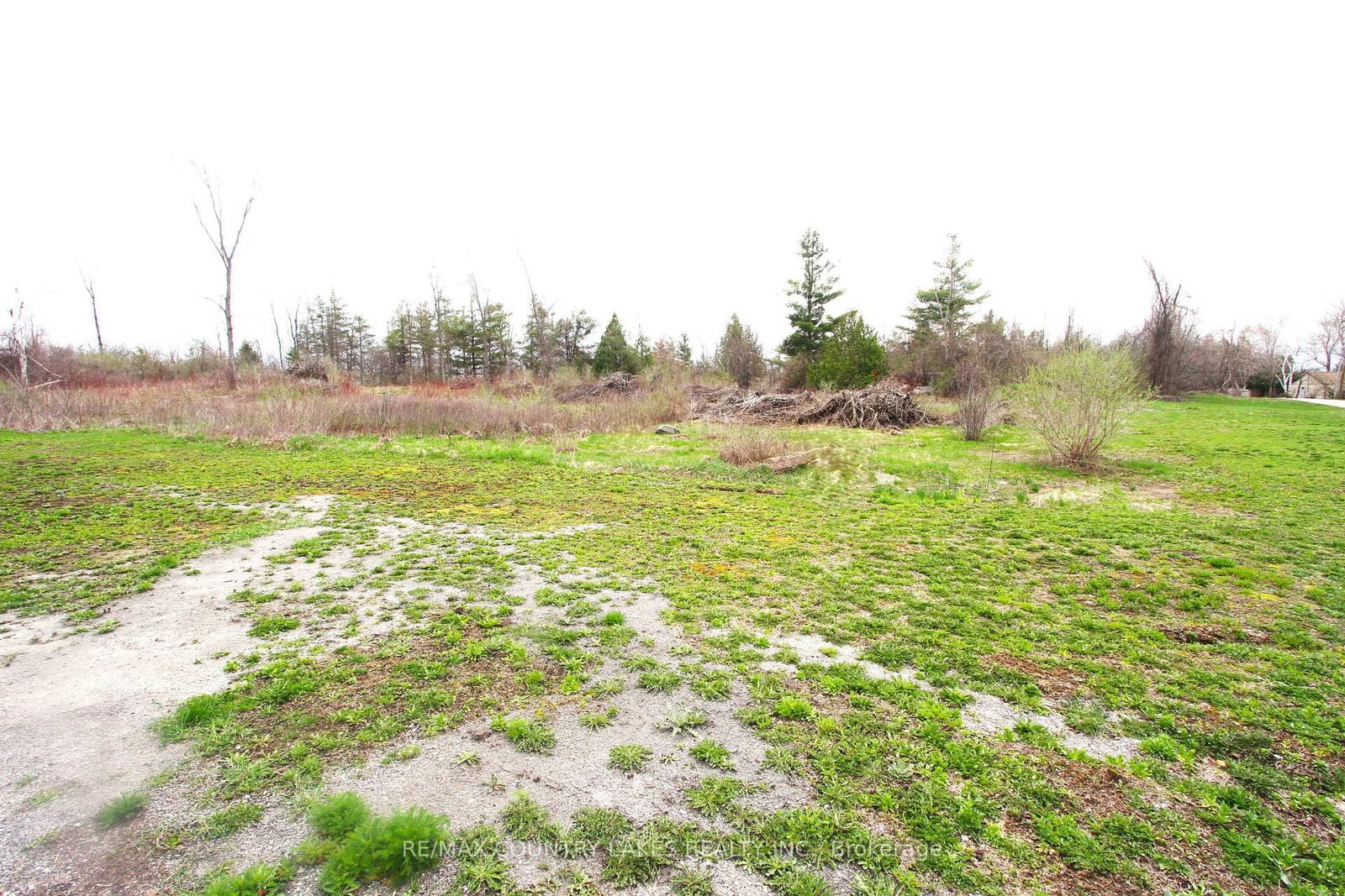 Lt 2 Redcap Beach Lane • Kawartha Lakes, ON photo 11
