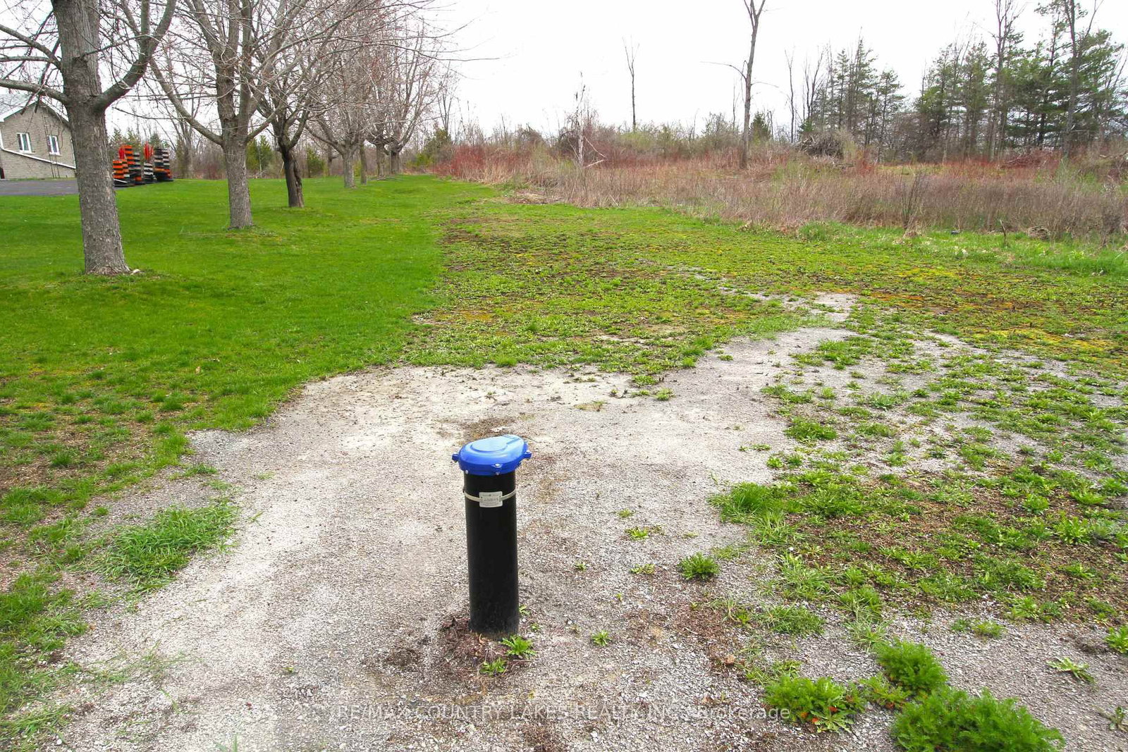 Lt 2 Redcap Beach Lane • Kawartha Lakes, ON photo 13