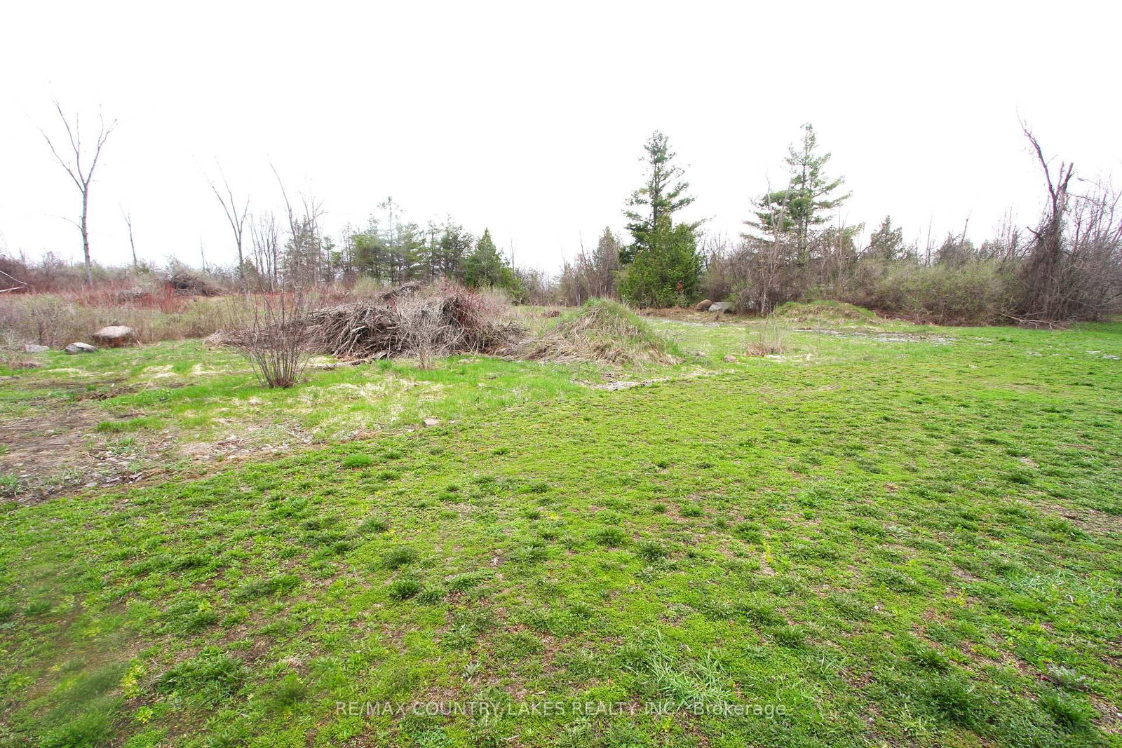 Lt 2 Redcap Beach Lane • Kawartha Lakes, ON photo 7