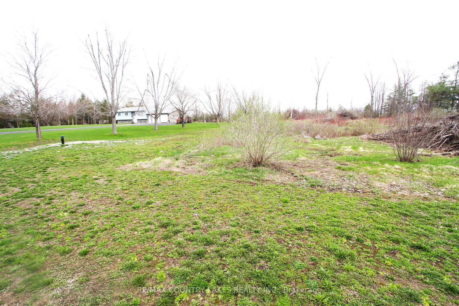 Lt 2 Redcap Beach Lane • Kawartha Lakes, ON photo 9