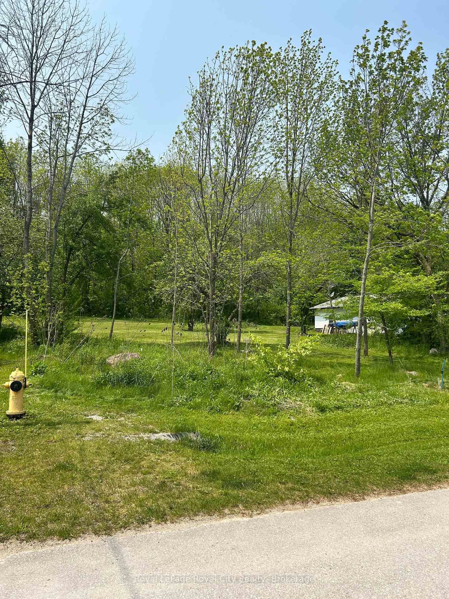 PT LT 37 Con 3 MacIntosh Drive • Georgian Bluffs, ON photo 14
