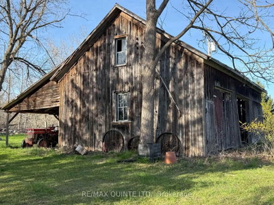 1079 Clearview Road • Stirling, ON photo 5