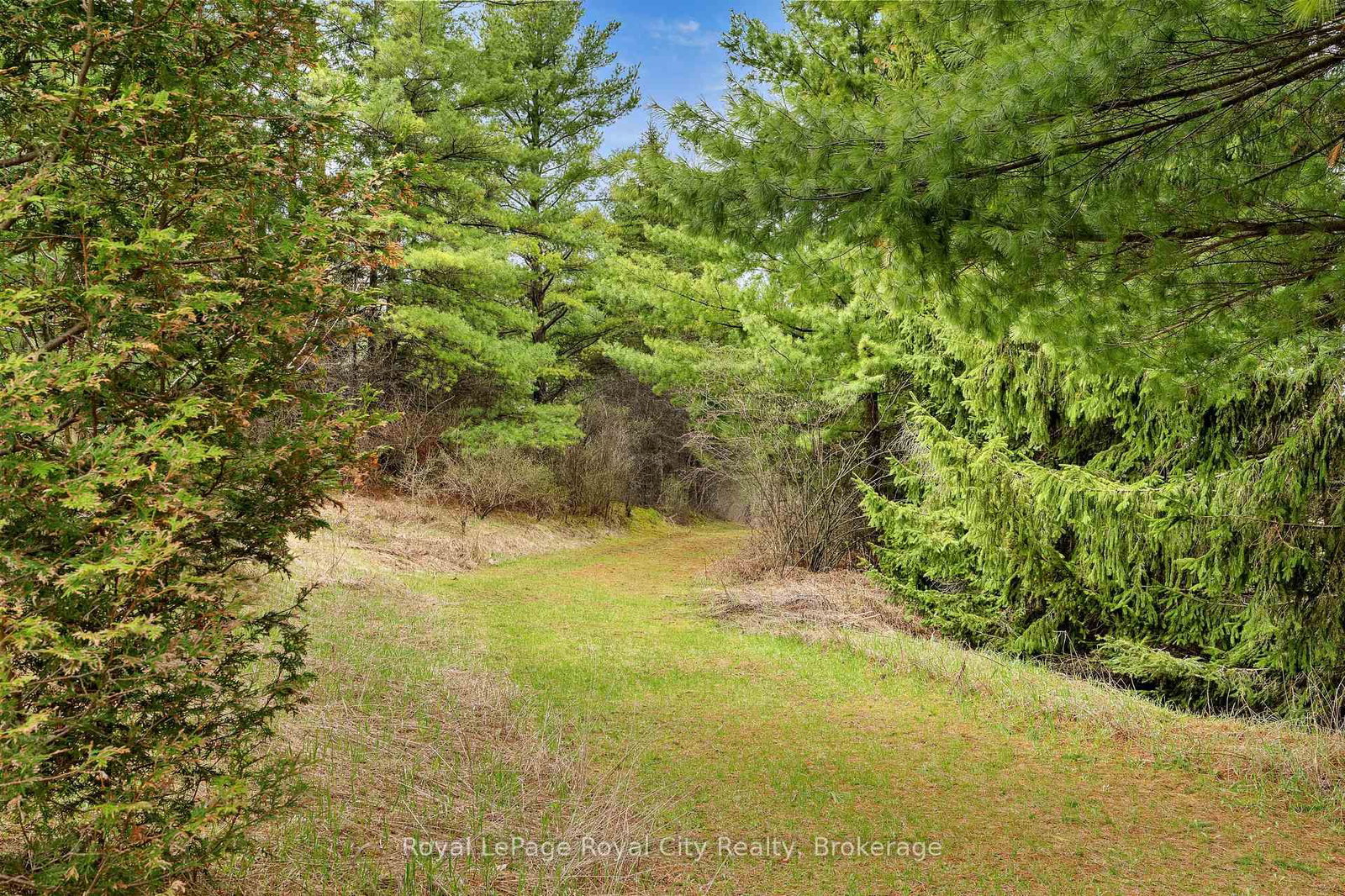 4620 20 Side Road N • Puslinch, ON photo 45