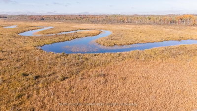 740 Mount Horeb Road • Kawartha Lakes, ON photo 8