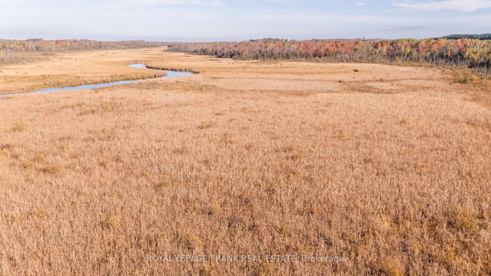 740 Mount Horeb Road • Kawartha Lakes, ON photo 9