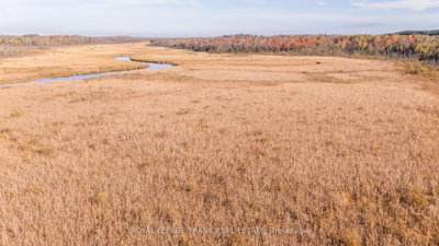 740 Mount Horeb Road • Kawartha Lakes, ON photo 9