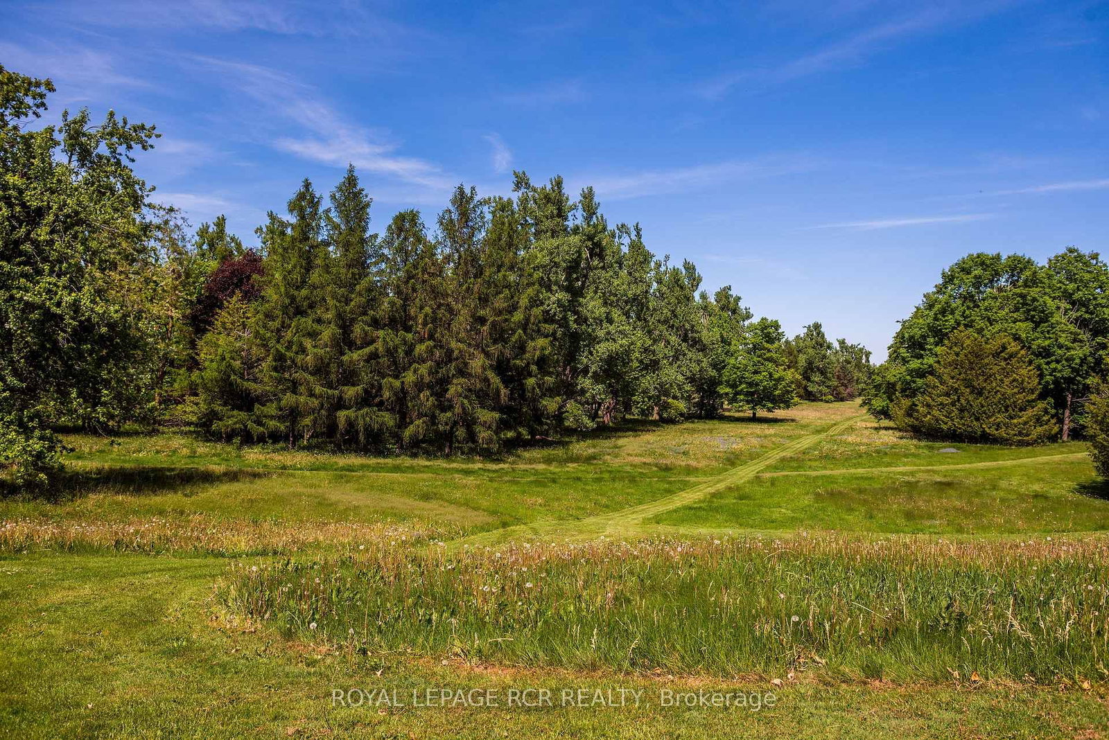 836081 4th Line E • Mulmur, ON photo 33