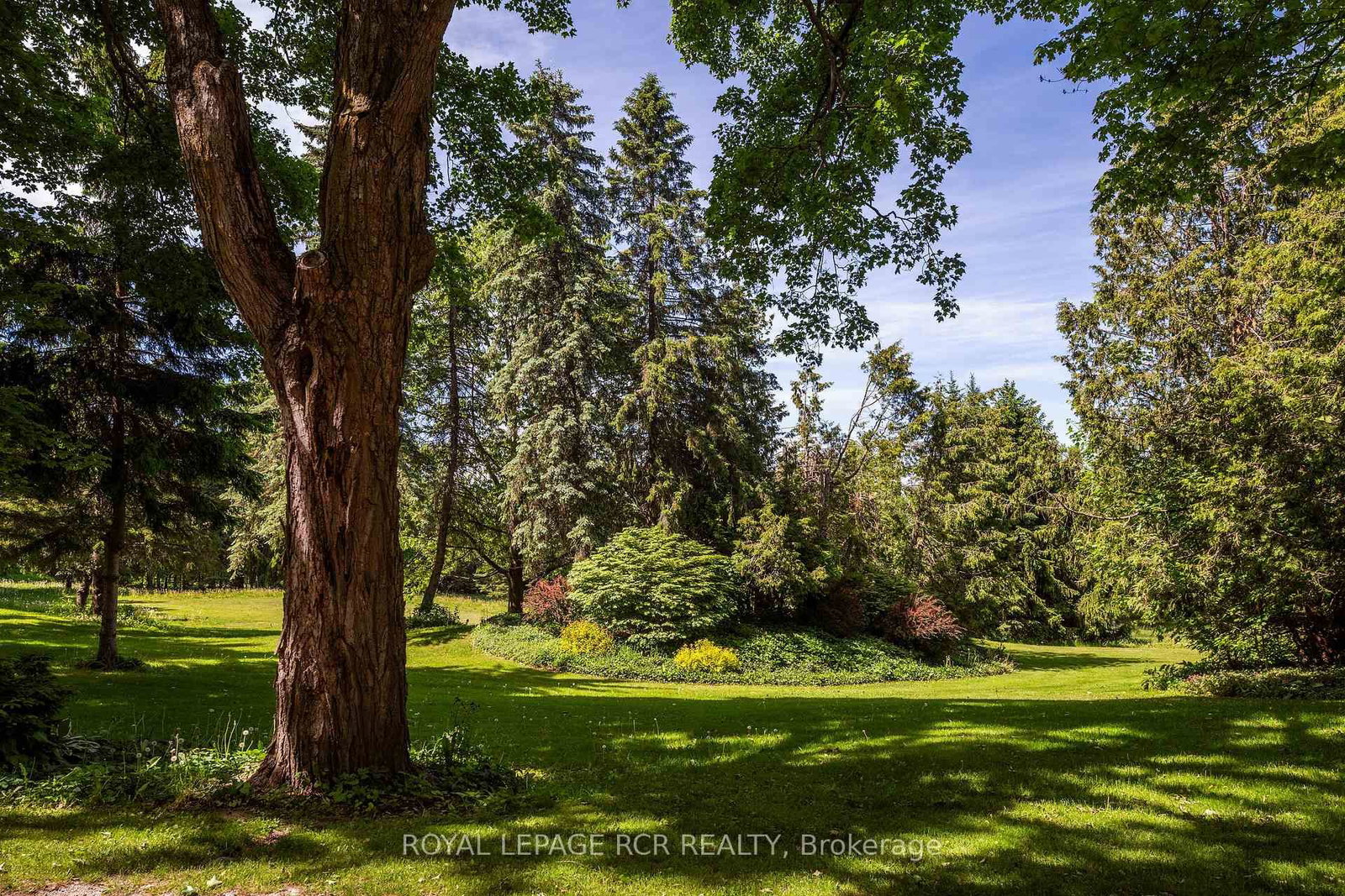836081 4th Line E • Mulmur, ON photo 42