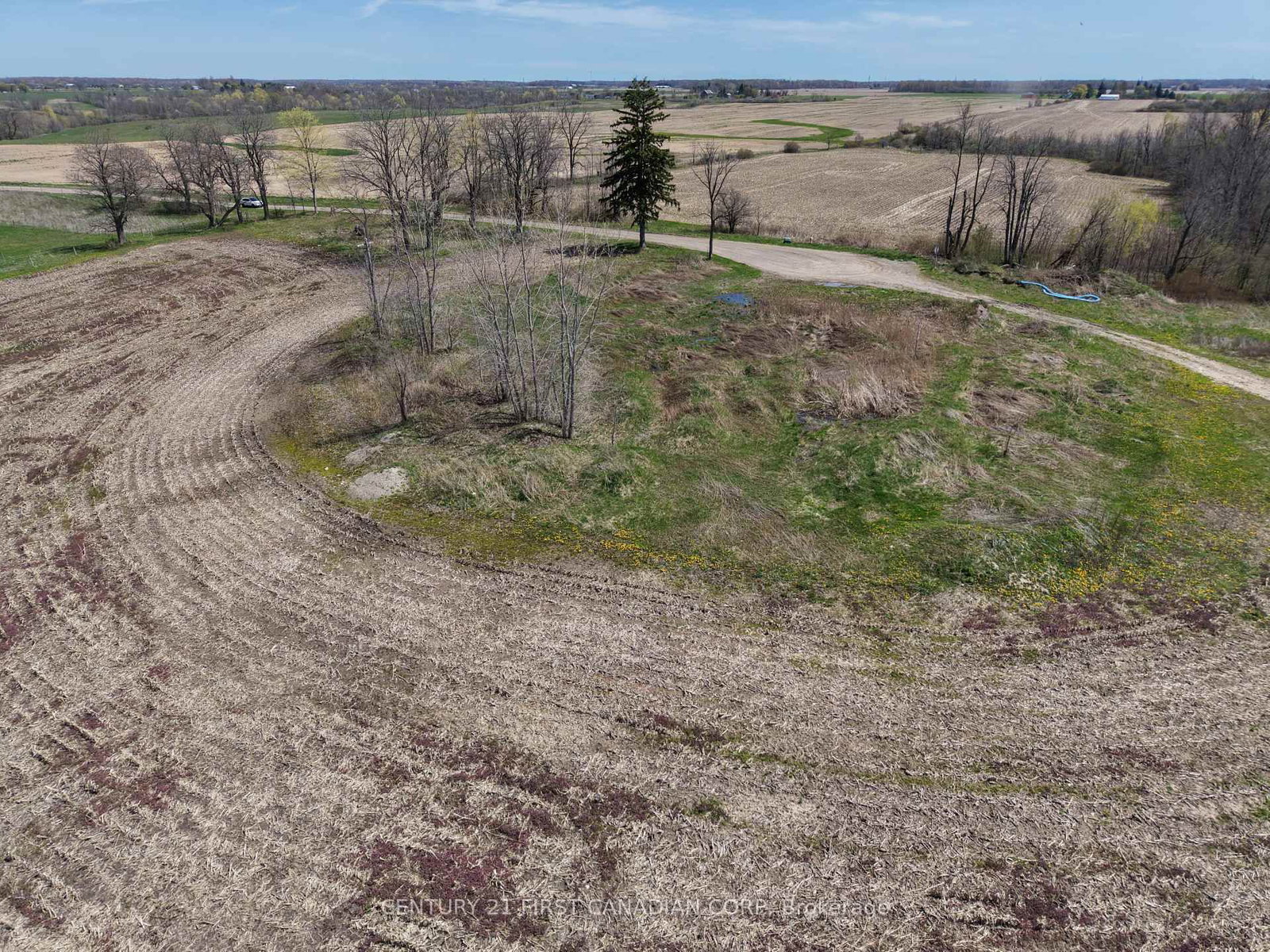Listing Image 6