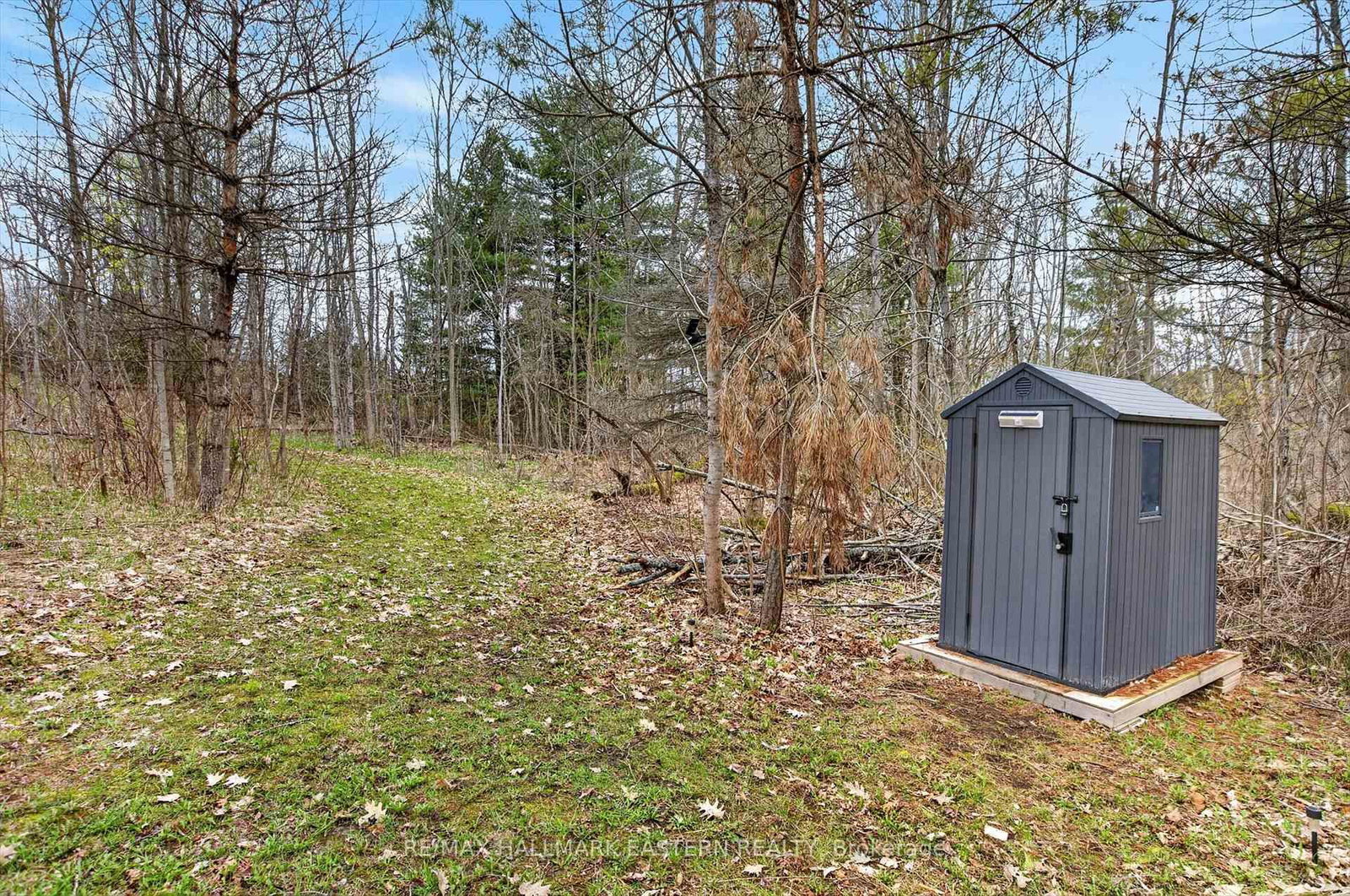 Listing Image 19