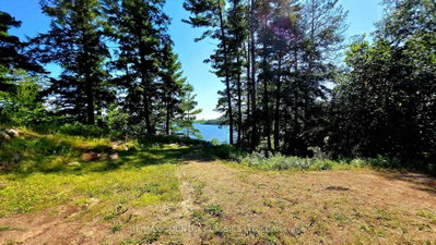 272 Mask Island Drive S — photo 5