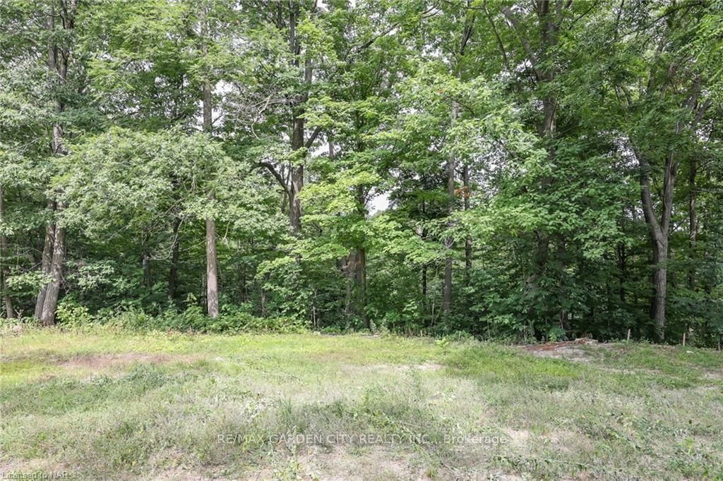 LOT #1 3648 GLEN Road • Lincoln, ON photo 18