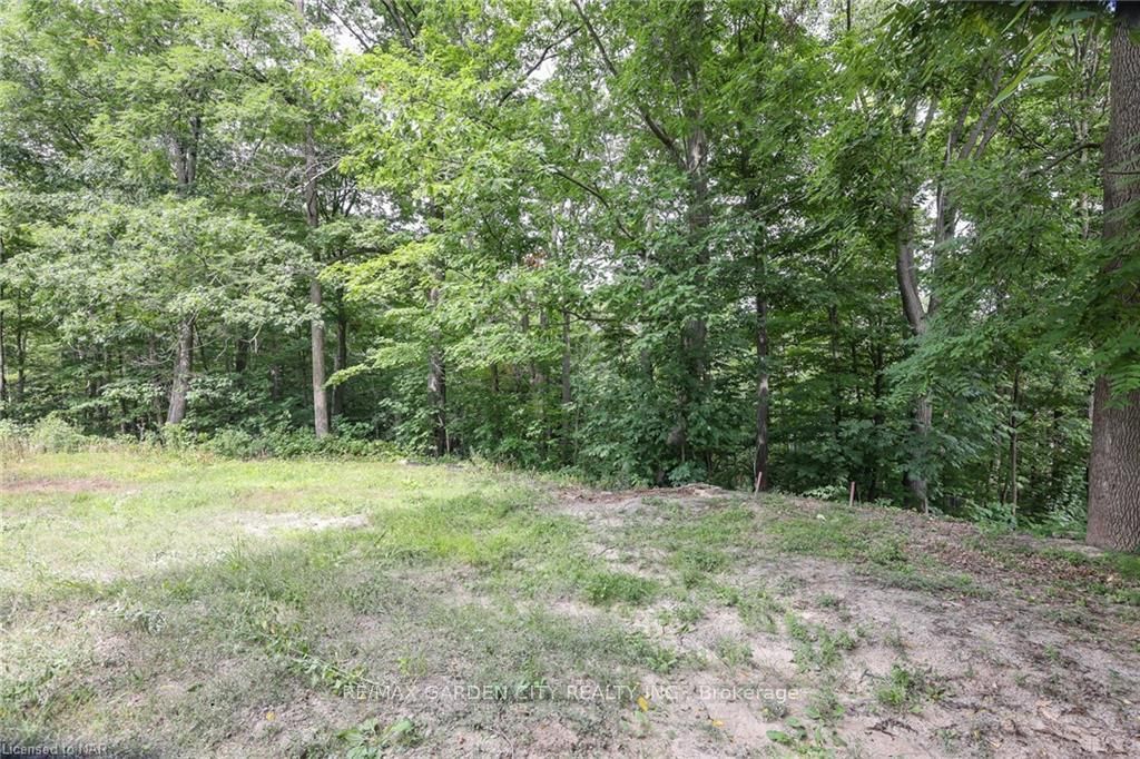 LOT #1 3648 GLEN Road • Lincoln, ON photo 19