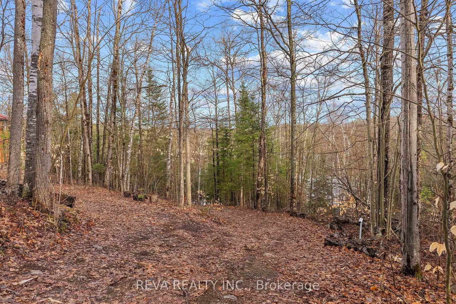 115 West Mullet Lake Drive • Bancroft, ON photo 18