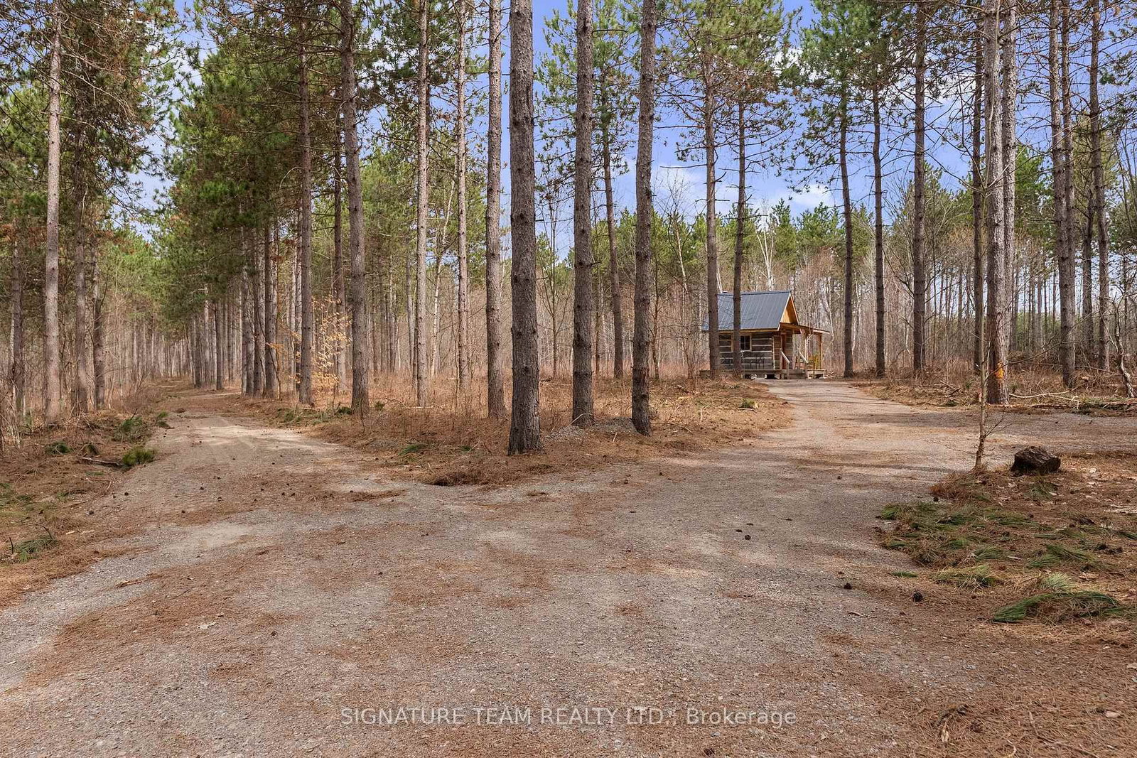 0 Dittburner Road • Foresters Falls, ON photo 18
