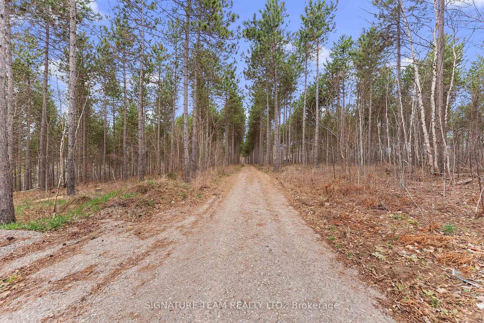 0 Dittburner Road • Foresters Falls, ON photo 20