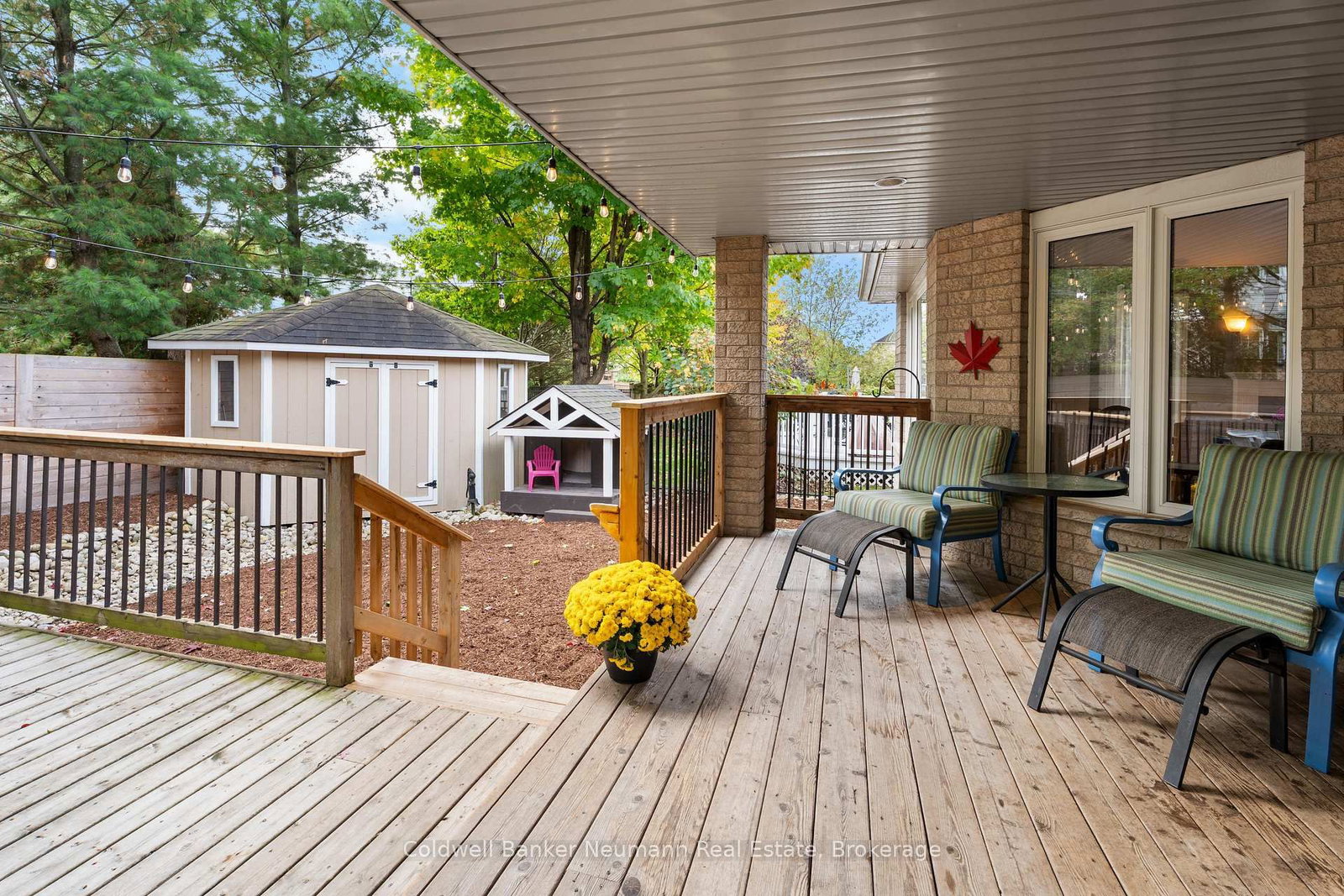 27 Miller Street - Photo 11