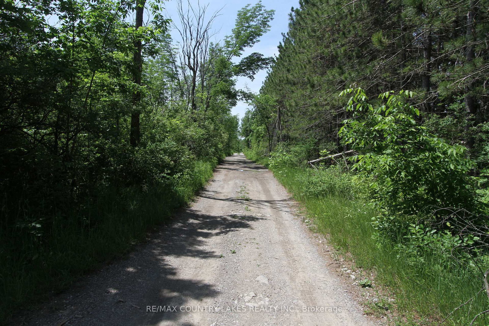 Lt3 Ramblewood Trail • Kawartha Lakes, ON photo 25