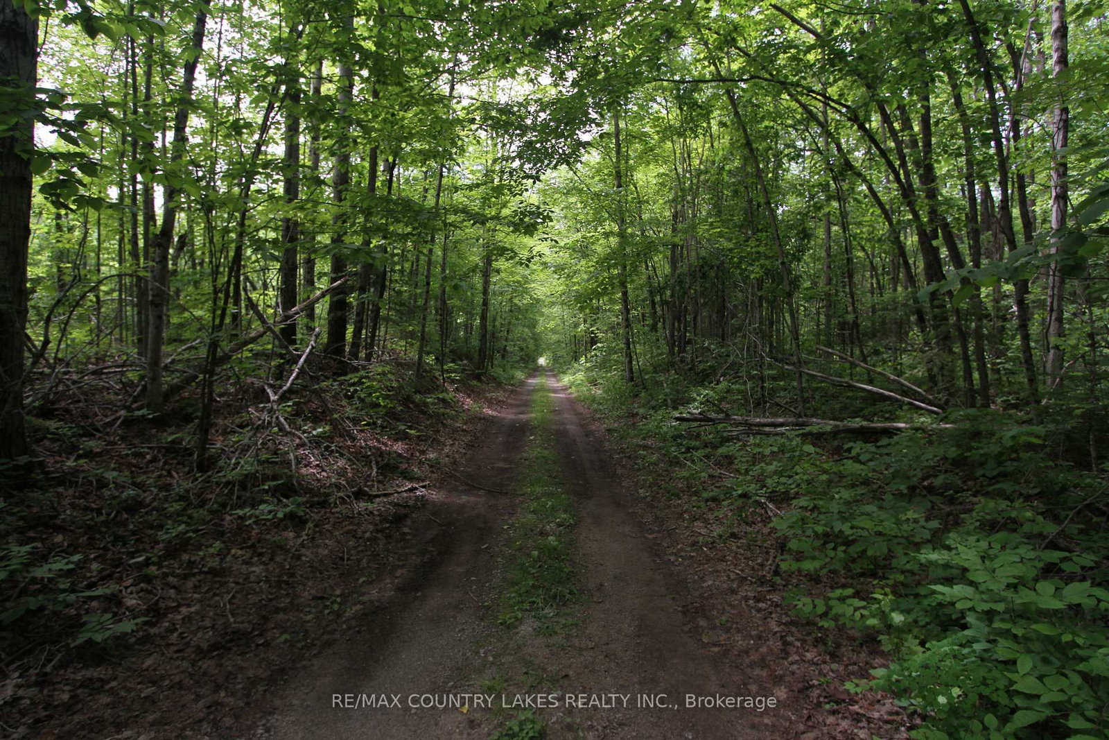 Lt3 Ramblewood Trail • Kawartha Lakes, ON photo 26