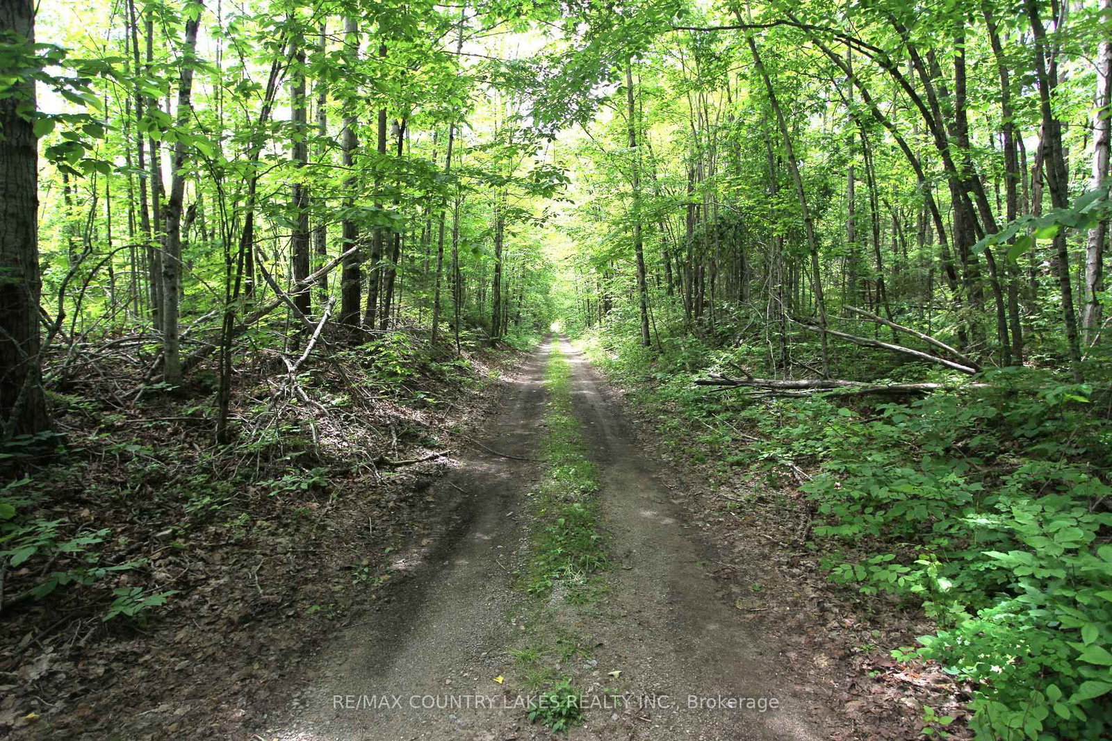 Lt3 Ramblewood Trail • Kawartha Lakes, ON photo 27