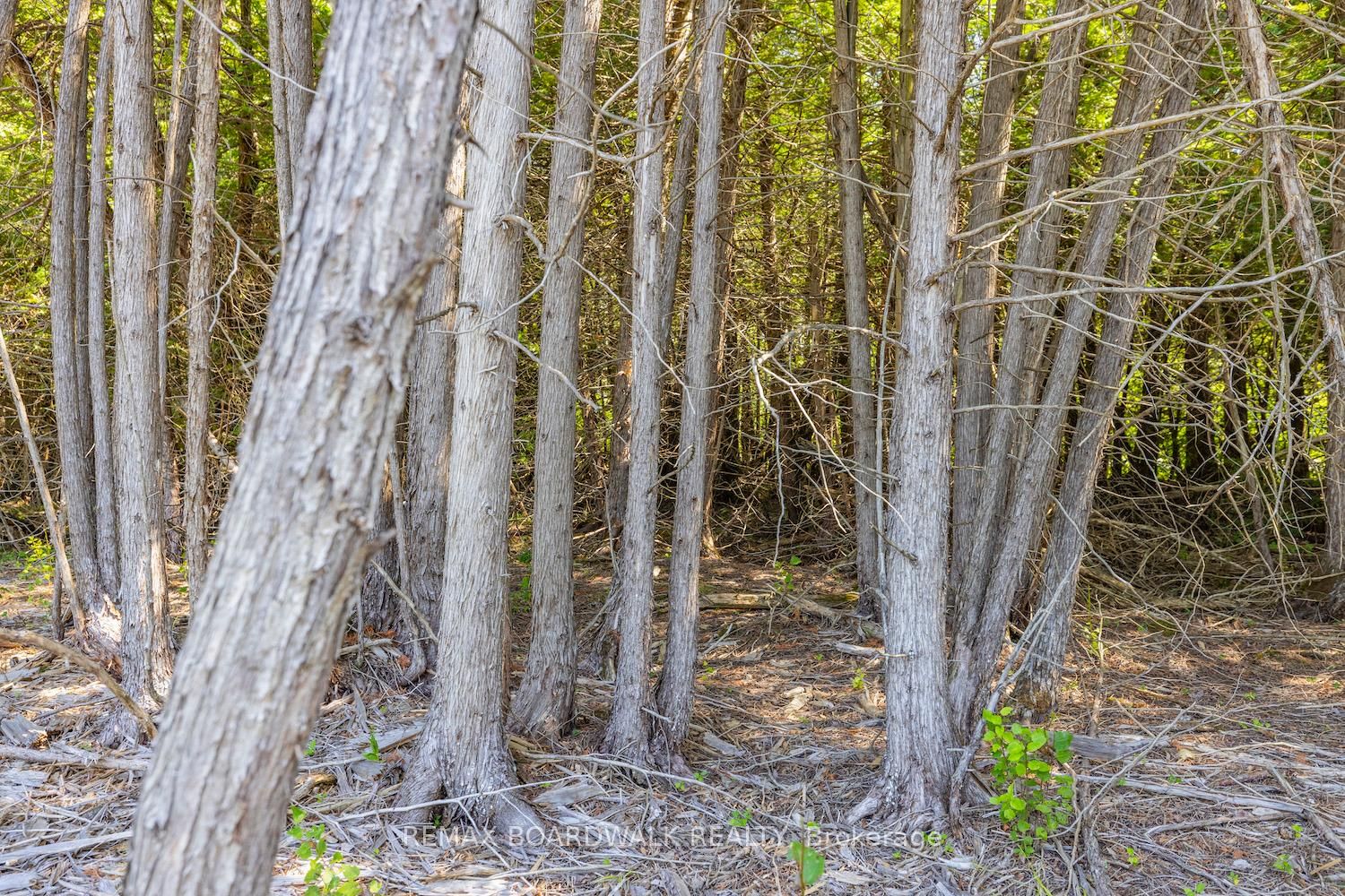 0 Forbes Road • North Grenville, ON photo 8