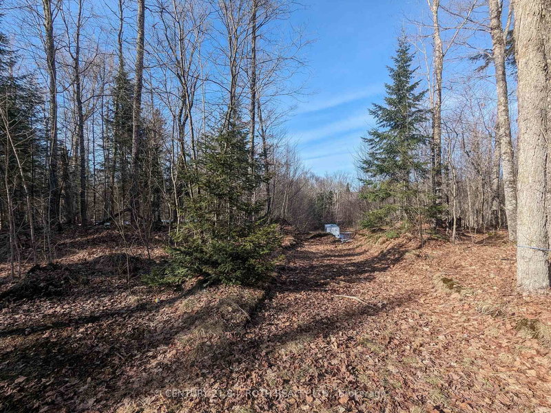 home for sale on 11146 Highway 118 null