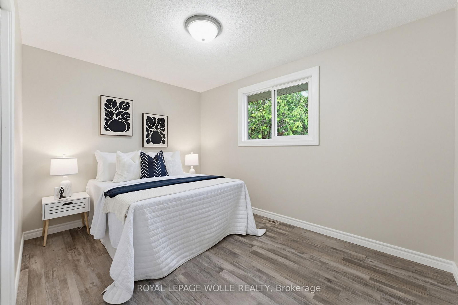 24 Hillmount Street - Photo 16